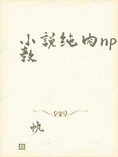 小说纯肉np调教