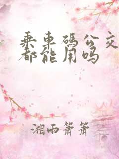 乘车码公交地铁都能用吗