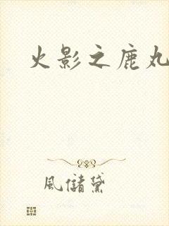火影之鹿丸传