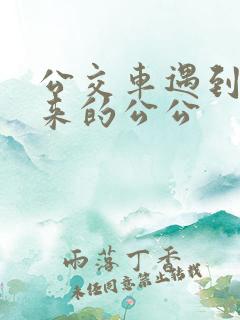 公交车遇到农村来的公公