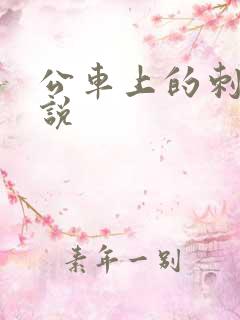 公车上的刺激小说