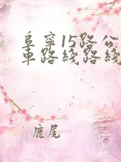 阜宁15路公交车路线路线图