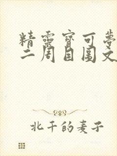 精灵宝可梦xy二周目图文攻略