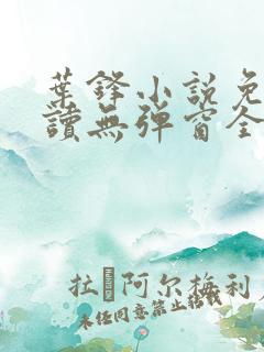 叶锋小说免费阅读无弹窗全文