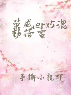 荣威erx5混动搭电
