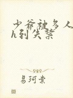 少爷被多人玩弄h到失禁