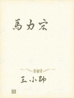 马力宏