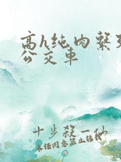 高h纯肉系列h公交车