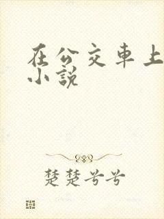 在公交车上被摸小说