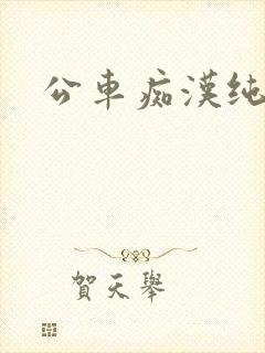 公车痴汉纯h