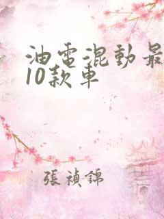 油电混动最好的10款车