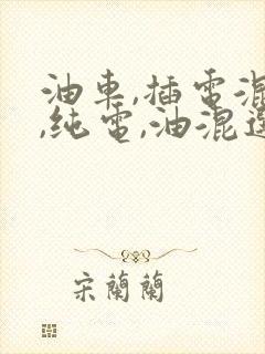 油车,插电混动,纯电,油混选哪个好