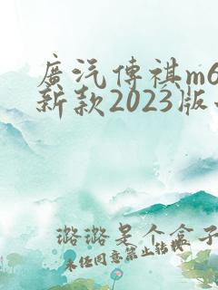 广汽传祺m6最新款2023版七座