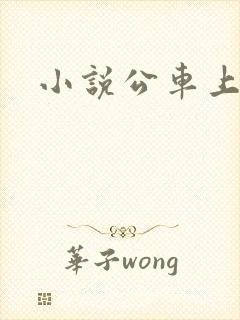 小说公车上