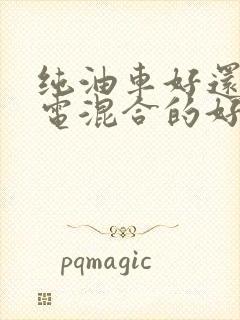 纯油车好还是油电混合的好