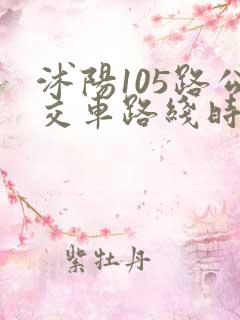 沭阳105路公交车路线时间表