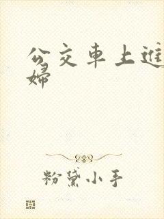 公交车上进入少妇