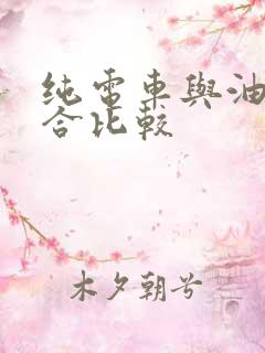 纯电车与油电混合比较