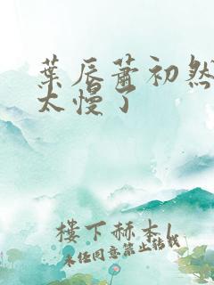 叶辰萧初然更新太慢了
