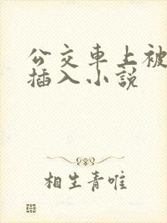 公交车上被强行插入小说
