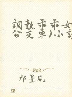 调教乖乖女h(公交车)小说在线阅读