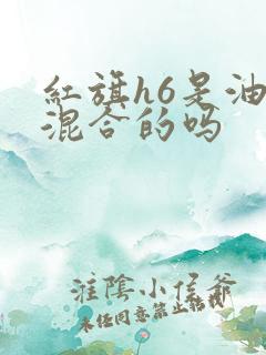 红旗h6是油电混合的吗