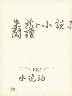 朱慈r小说在线阅读