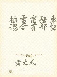 插电商务车油电混合有哪些