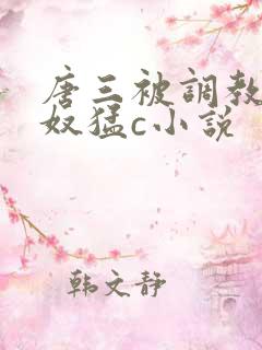 唐三被调教成肉奴猛c小说