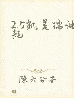 2.5凯美瑞油耗