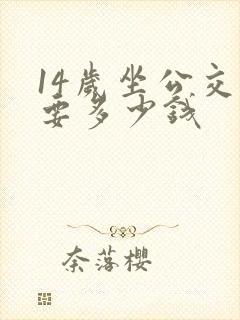 14岁坐公交车要多少钱