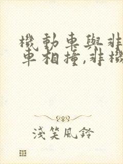 机动车与非机动车相撞,非机动车主责