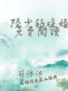 陆少的暖婚新妻 免费阅读