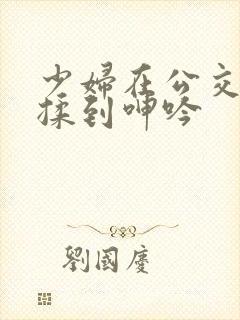 少妇在公交车被揉到呻吟