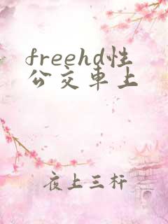 freehd性公交车上