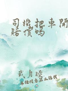 司机把车开坏了赔偿吗
