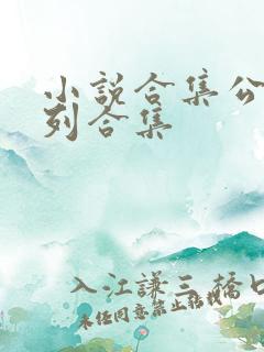 小说合集公车系列合集