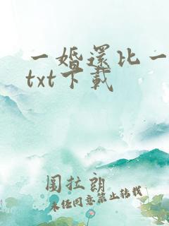 一婚还比一婚高txt下载