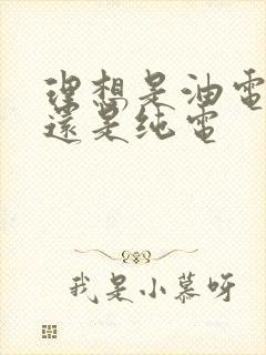 理想是油电混合还是纯电