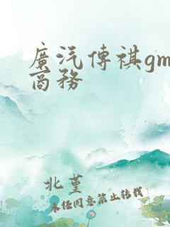 广汽传祺gm8商务