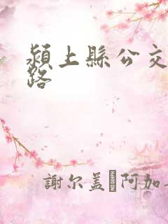 颍上县公交车线路