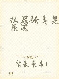 拉尿骚臭是什么原因