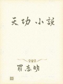 天功 小说
