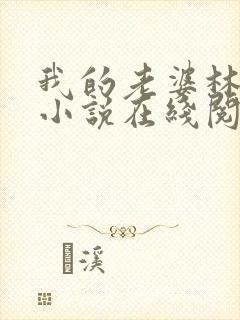 我的老婆林慧茹小说在线阅读无弹窗