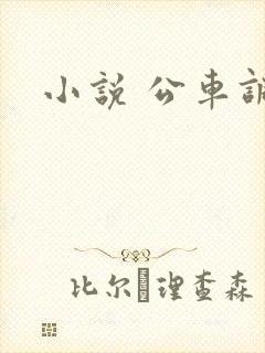 小说 公车调教