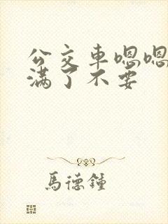 公交车嗯嗯啊啊满了不要