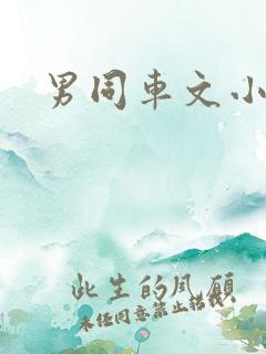 男同车文小说