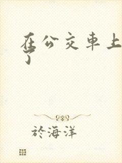 在公交车上被上了