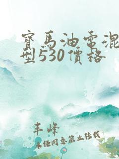 宝马油电混合车型530价格