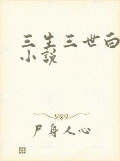 三生三世白暮泪小说
